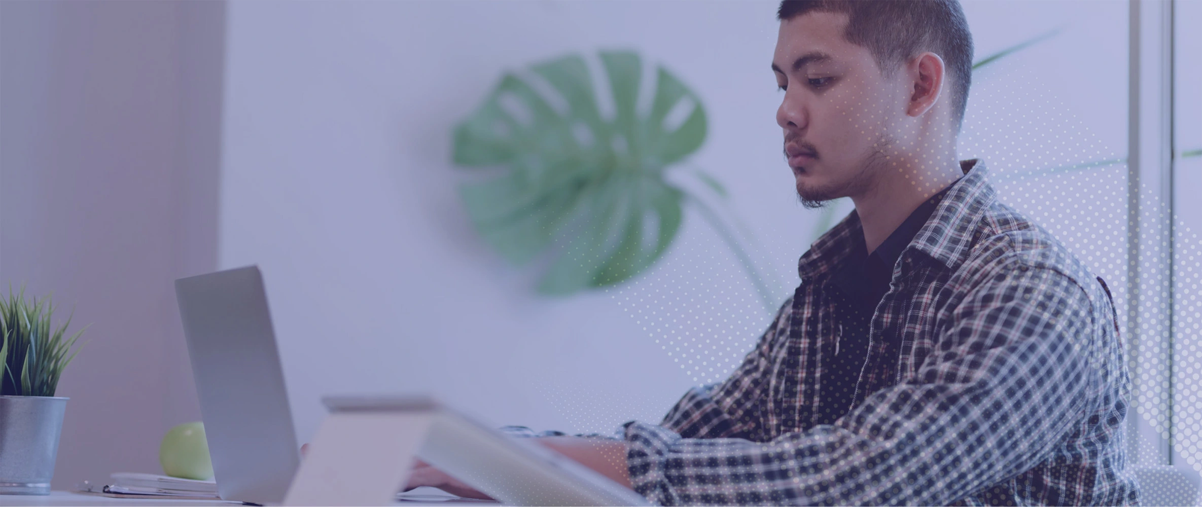Remote Software Developer