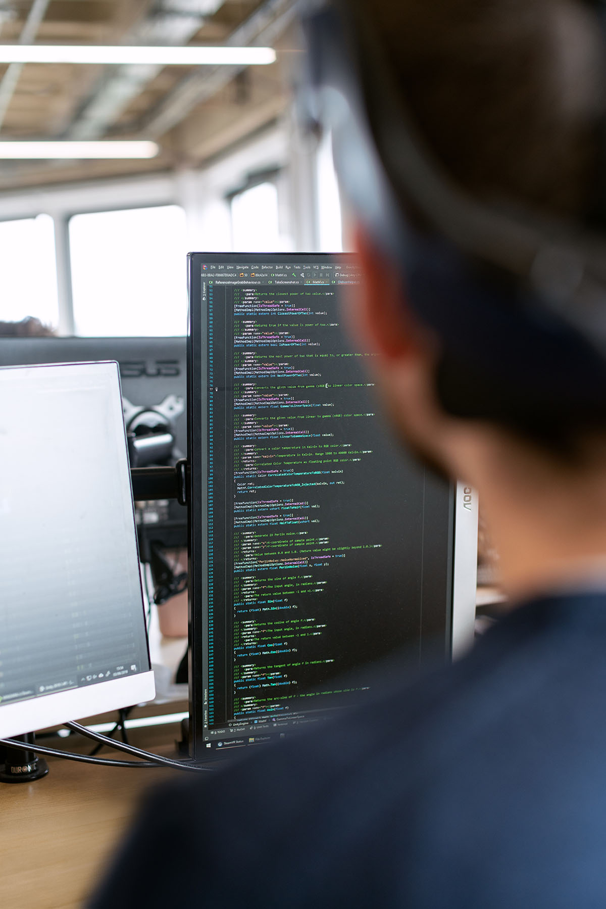 Remote Software Developer